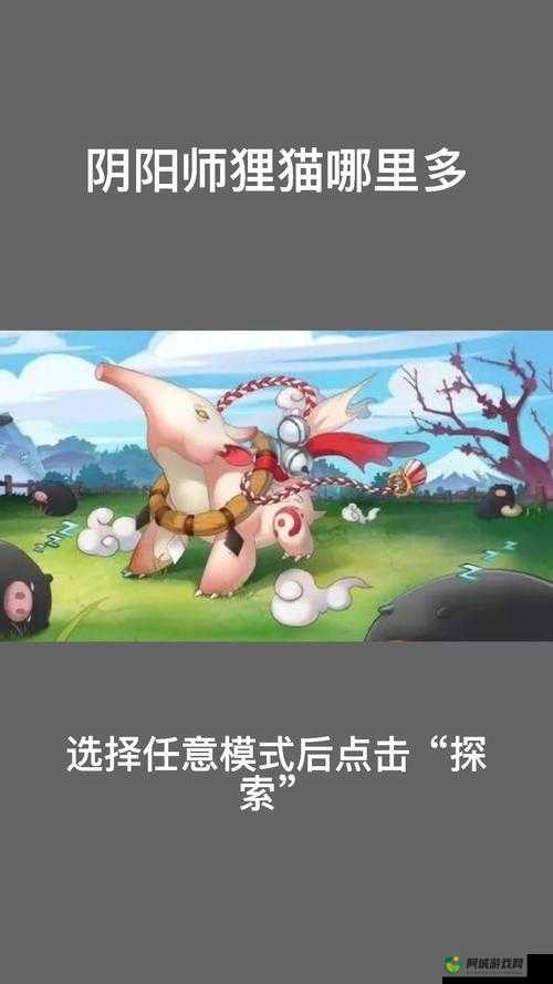 阴阳师手游狸猫出没密集区域揭秘：探寻狸猫最多的神秘地点攻略