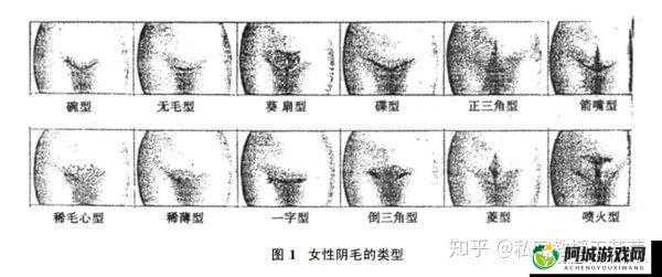 女性三角毛毛区长了个硬疙瘩：成因及应对方法