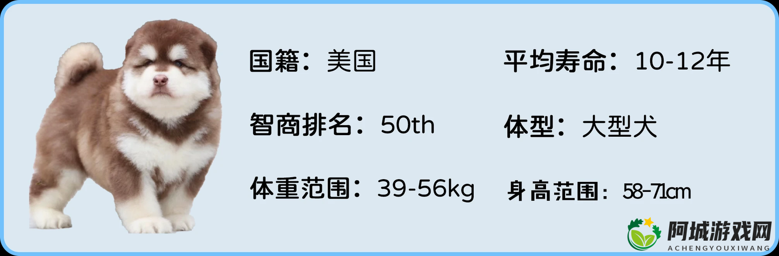 冰原守卫者猎鹿雪橇的获取方式与详细制作流程全解析