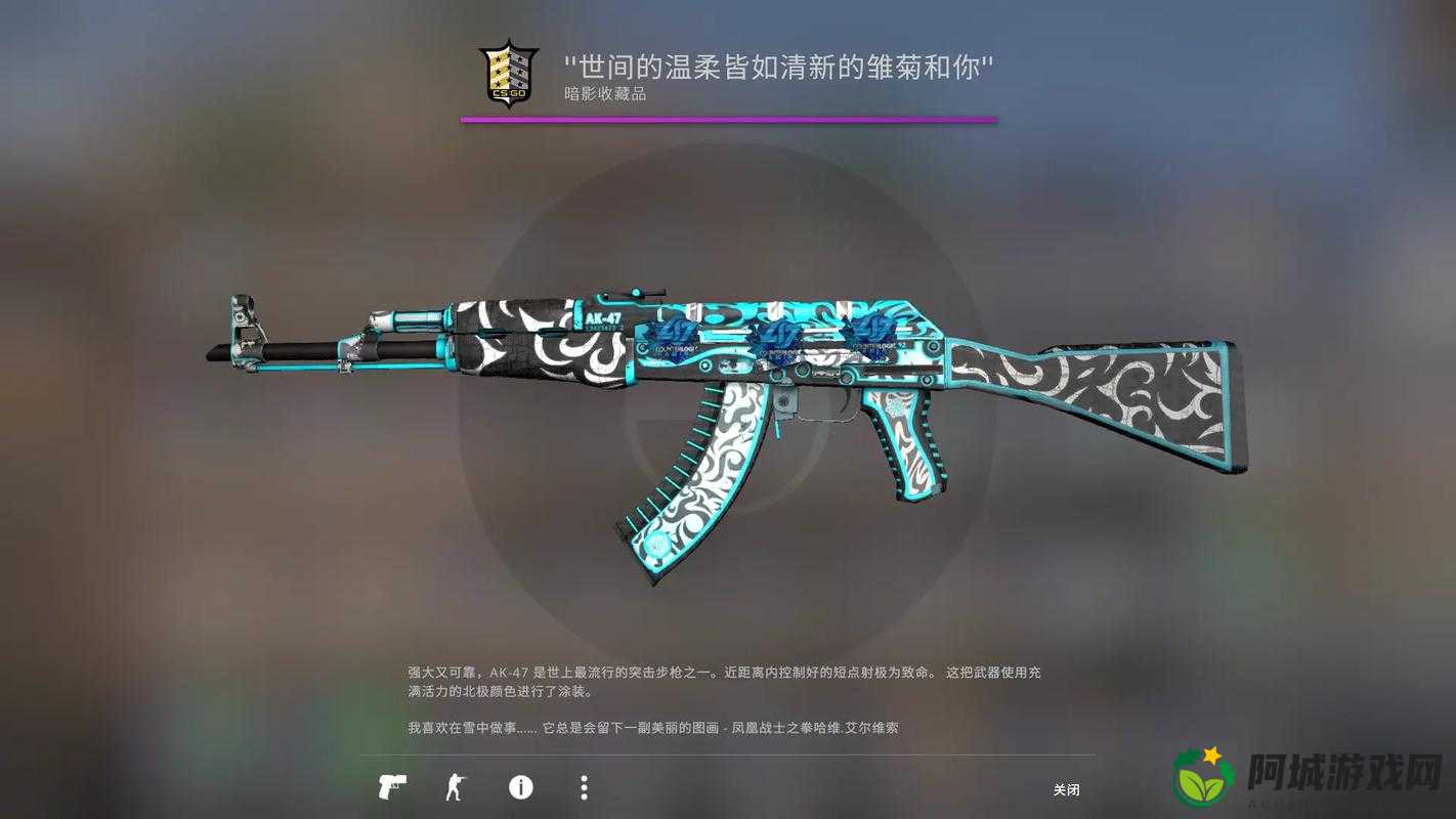 CSGO 皮肤大全：热门与珍稀款式全览