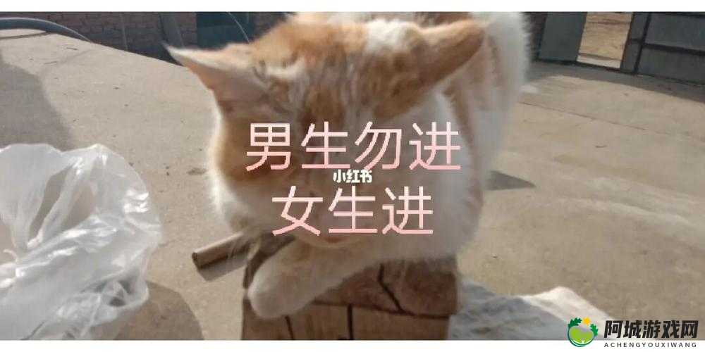 女生男生携手共努力生猴子啦